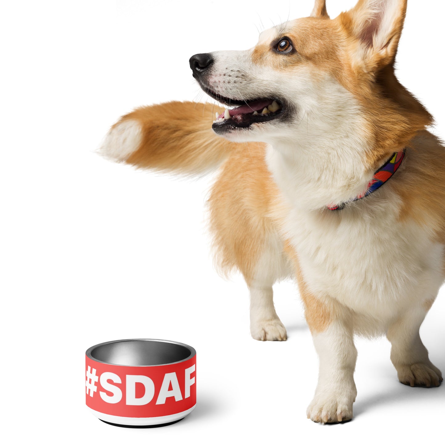Pet bowl