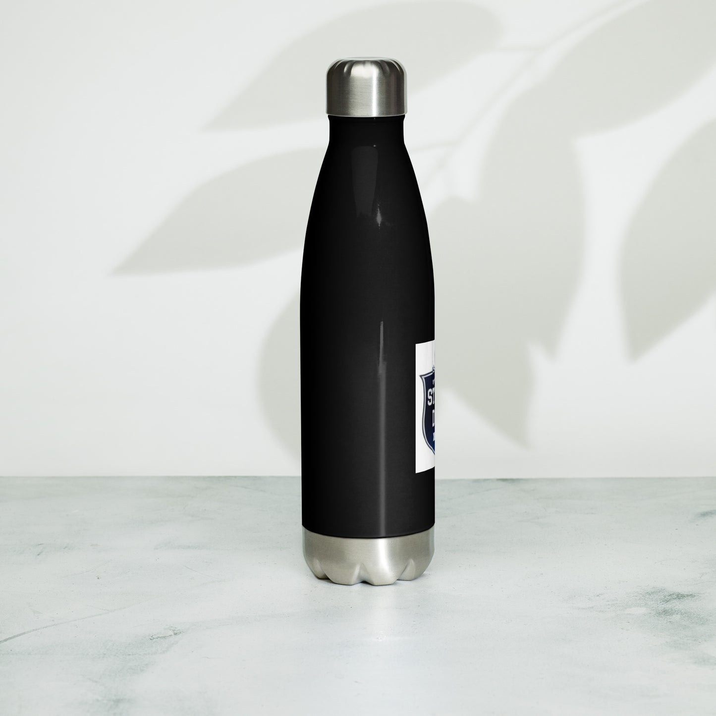 Stainless steel water bottle