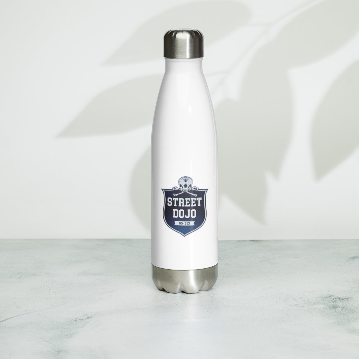 Stainless steel water bottle