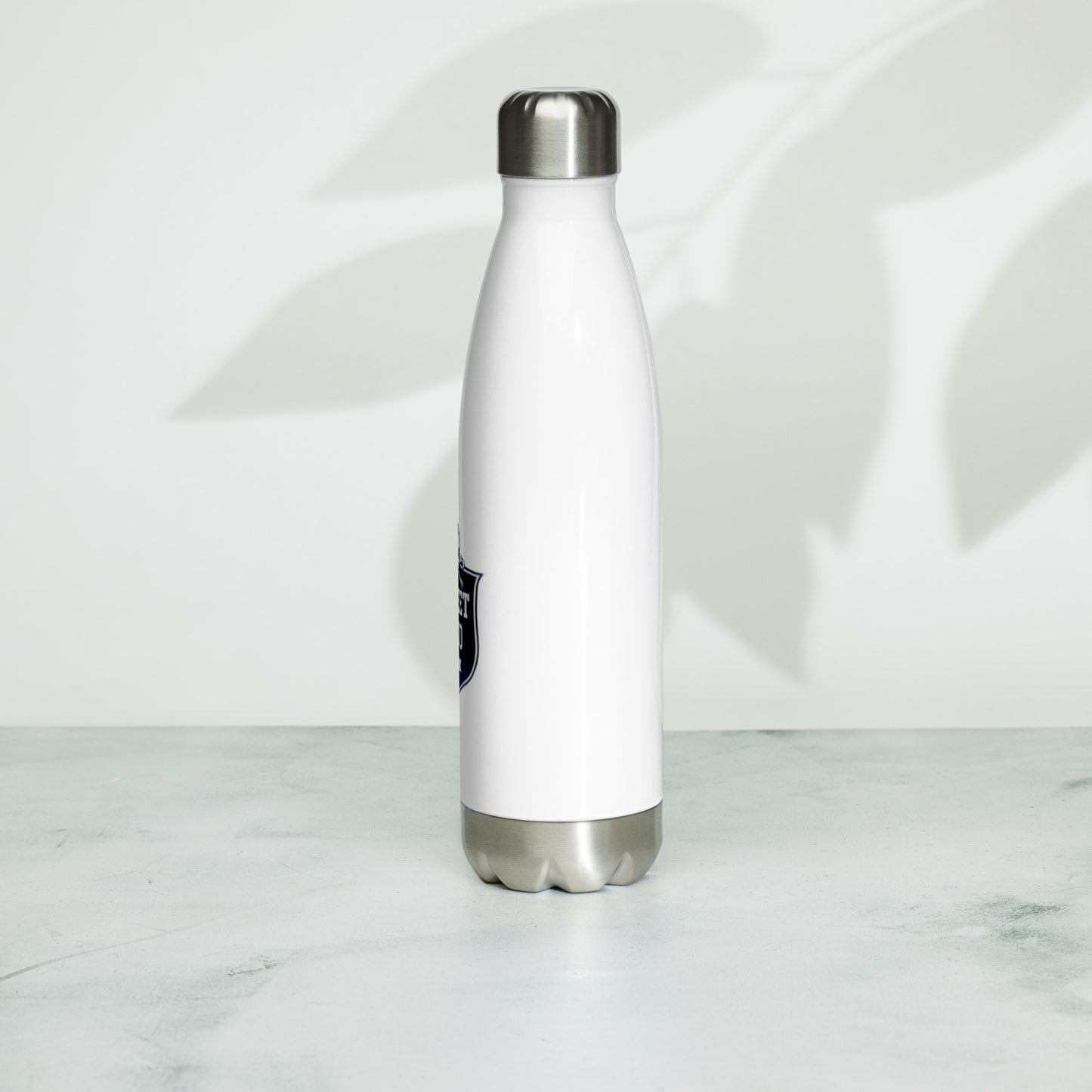 Stainless steel water bottle