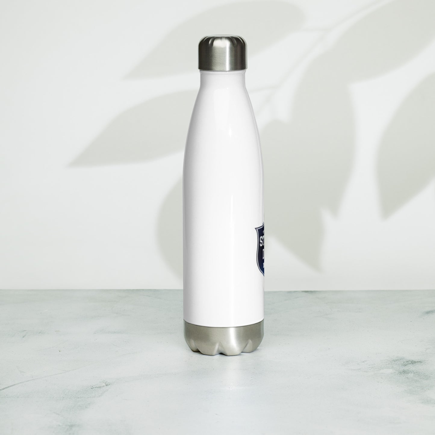 Stainless steel water bottle